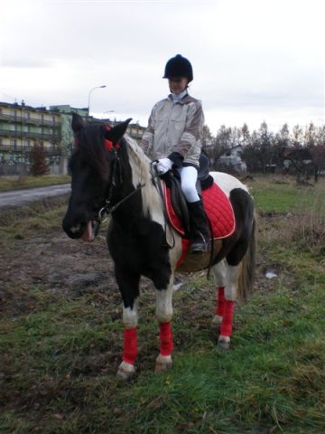 Hubertus 2007
